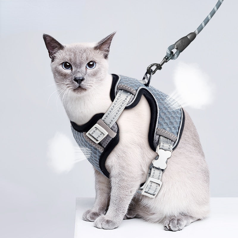 Cat Full Body Harness - cat harness leash