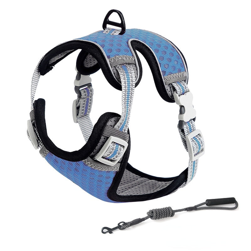 Cat Full Body Harness - Blue / XS - cat harness leash
