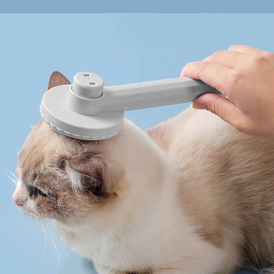 Cat Hair Brush