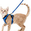 Cat Harness and Leash - Blue / XS - cat harness leash