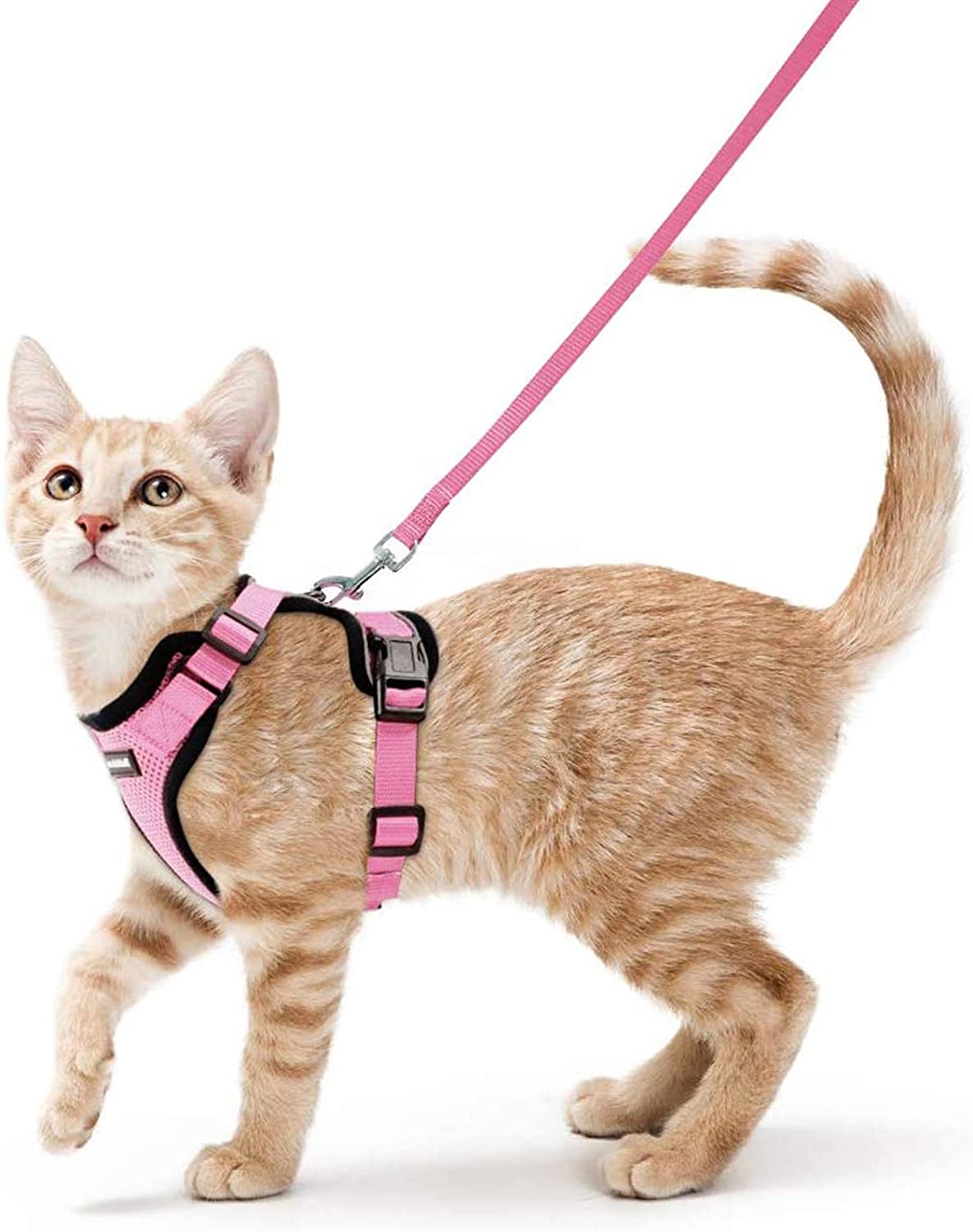 Cat Harness and Leash - Pink / XS - cat harness leash