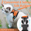Cat Harness and Leash - cat harness leash