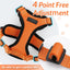 Cat Harness and Leash - cat harness leash