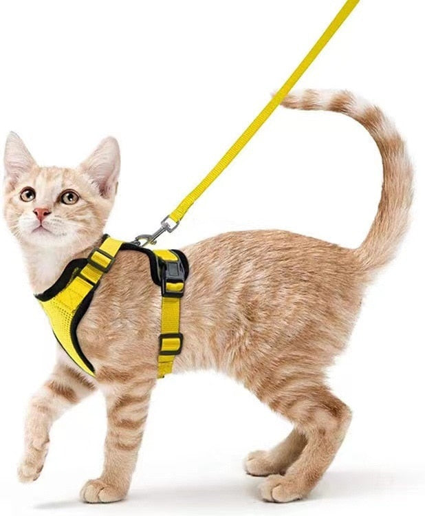 Cat Harness and Leash - Yellow / XS - cat harness leash