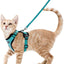 Cat Harness and Leash - Green / XS - cat harness leash