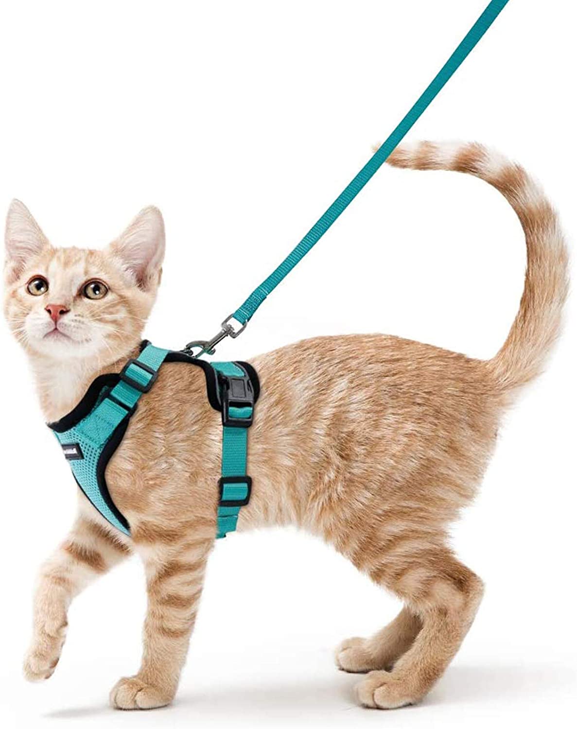 Cat Harness and Leash - Green / XS - cat harness leash