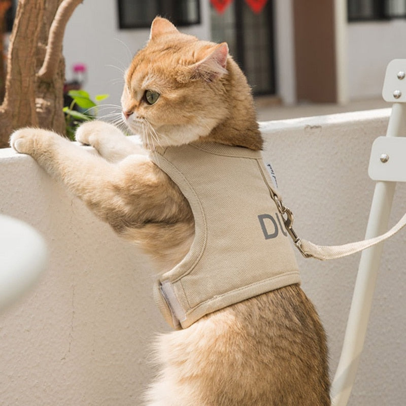 Cat Harness Velcro - cat harness leash