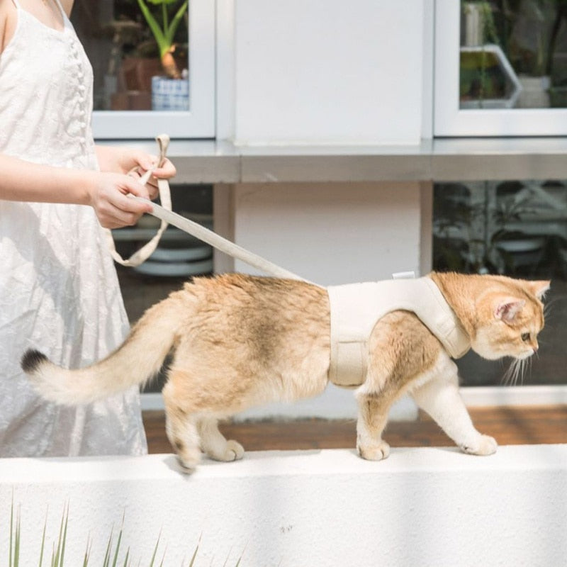 Cat Harness Velcro - cat harness leash