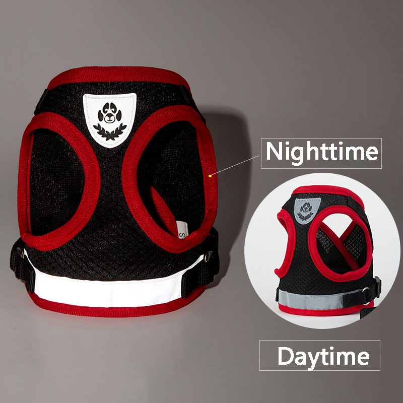 Cat Harness Vest - cat harness leash