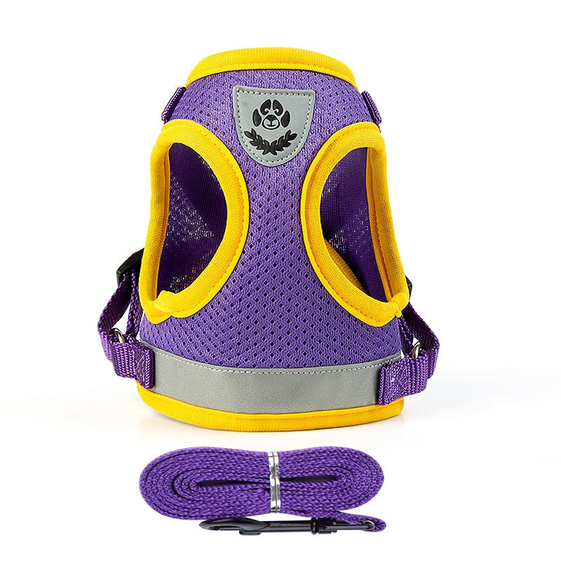 Cat Harness Vest - Purple / XS - cat harness leash