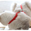 Cat Harness with Neck Buckle - cat harness leash
