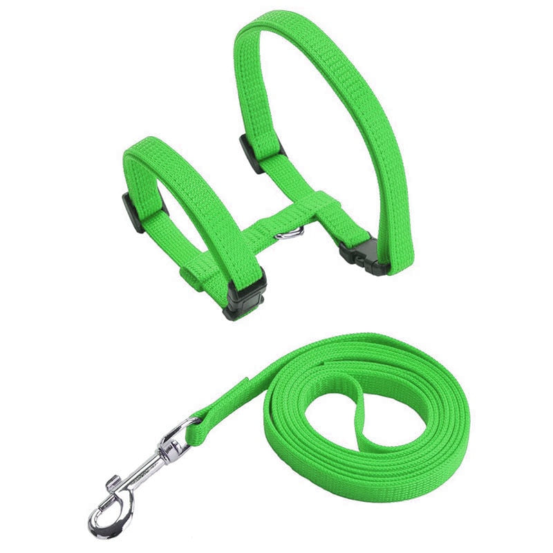 Cat Harness with Neck Buckle - Green - cat harness leash