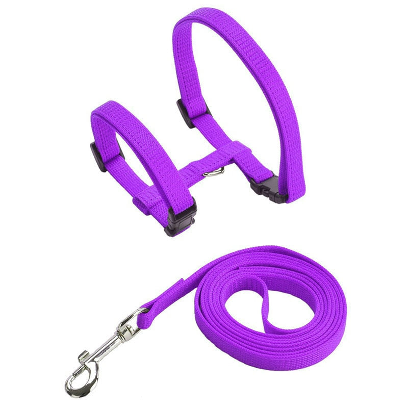 Cat Harness with Neck Buckle - Purple - cat harness leash