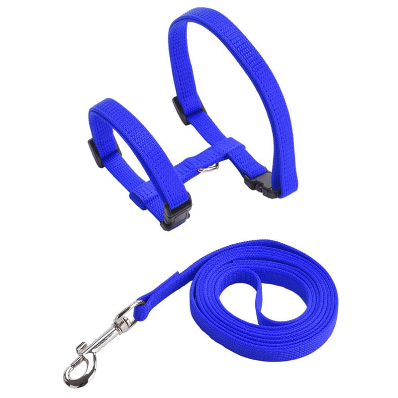 Cat Harness with Neck Buckle - Blue - cat harness leash