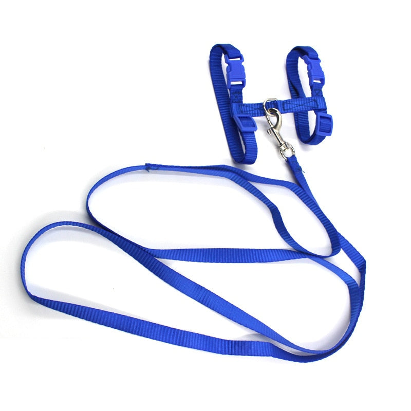 Cat Harness with Neck Buckle - cat harness leash