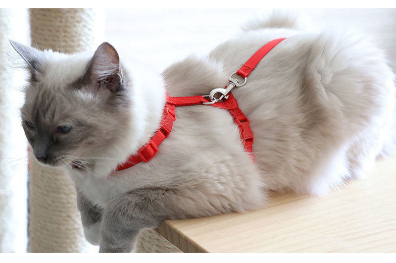 Cat Harness with Neck Buckle - cat harness leash