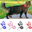 Cat Harness with Neck Buckle - cat harness leash