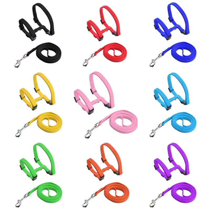 Cat Harness with Neck Buckle - cat harness leash