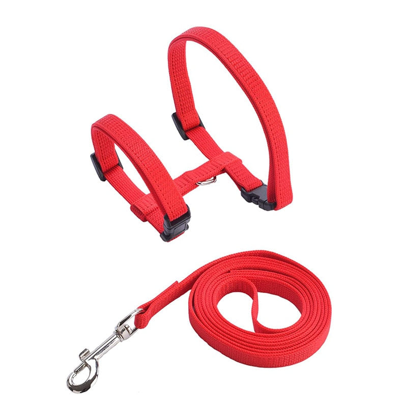 Cat Harness with Neck Buckle - Red - cat harness leash