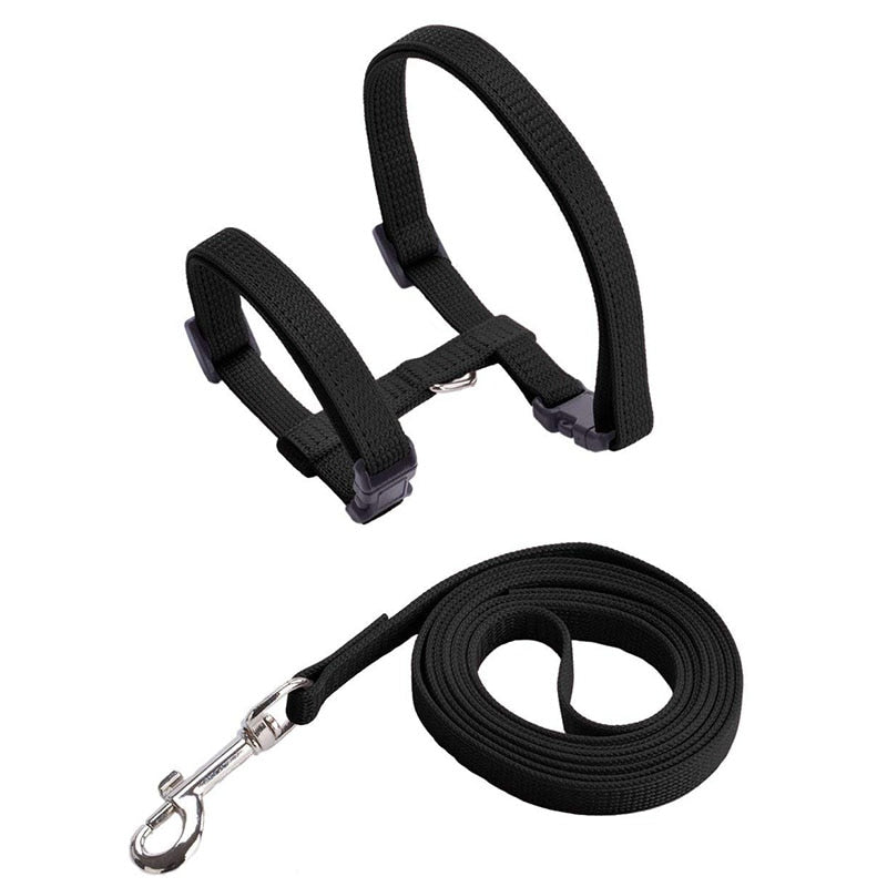 Cat Harness with Neck Buckle - Black - cat harness leash