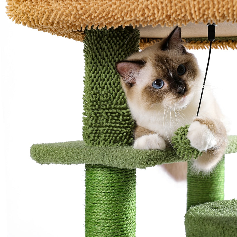 Cat House Scratching Post - Cat scratching post