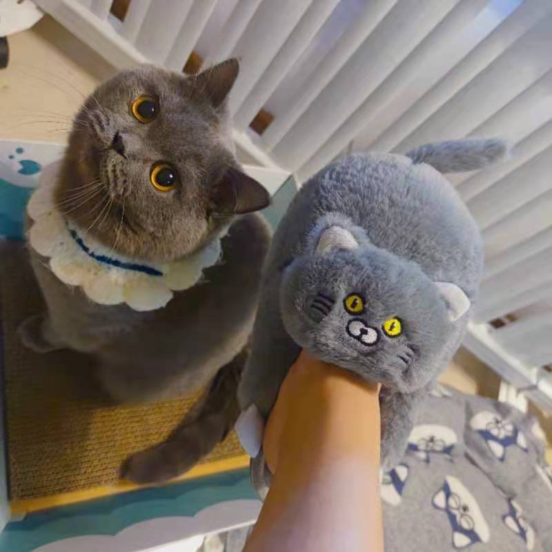 Cat Hug Slippers - Cat slippers