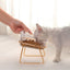 Cat in Glass Bowl - Cat Bowls