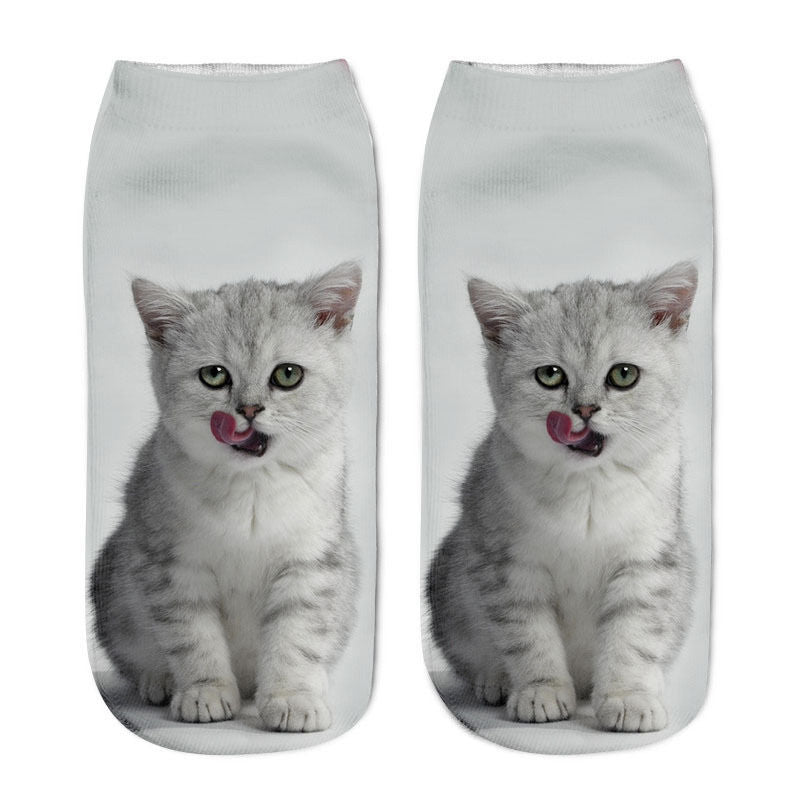 White best sale sock cat