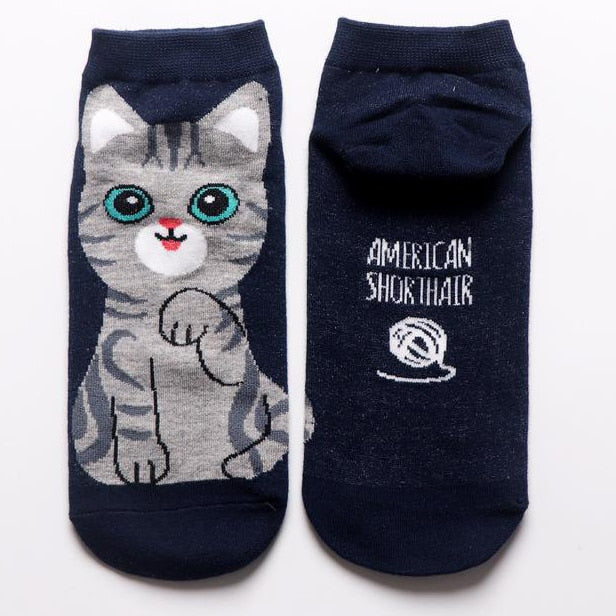 Cat in sock - Navy Blue - Cat Socks