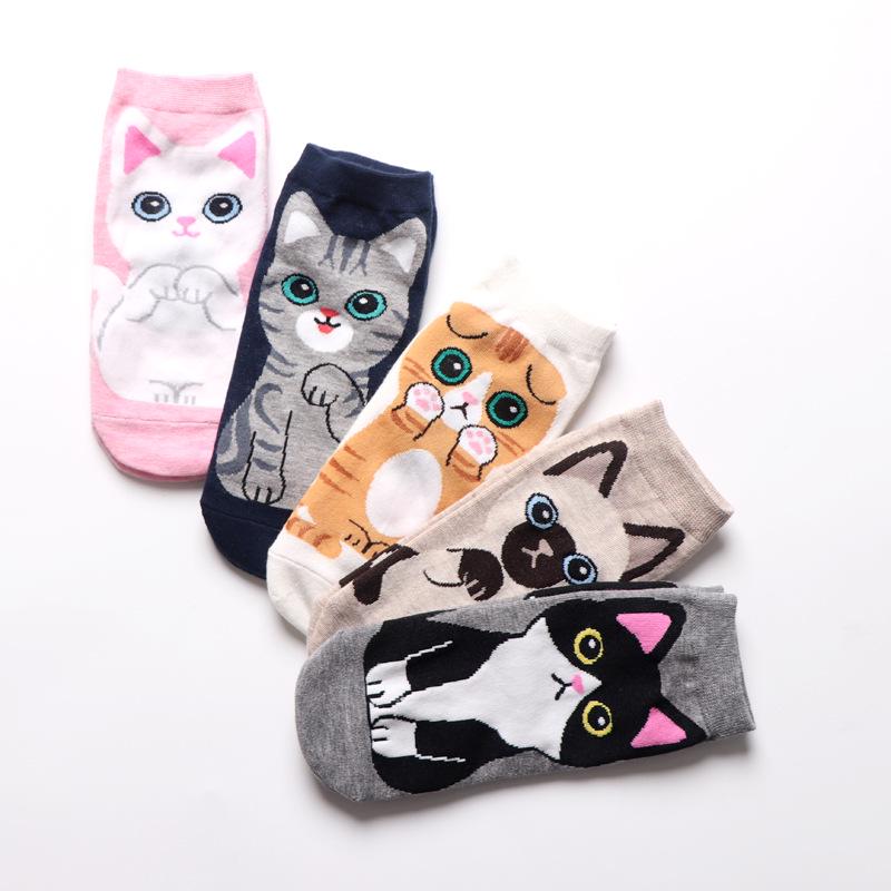 Cat in sock - Cat Socks