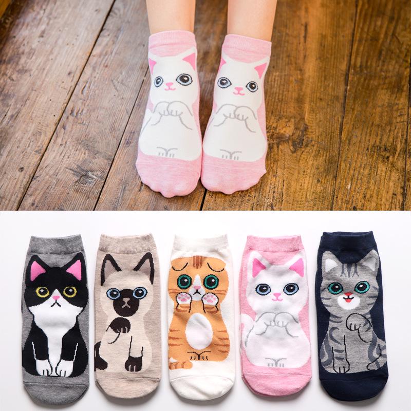 Cat in sock - Cat Socks