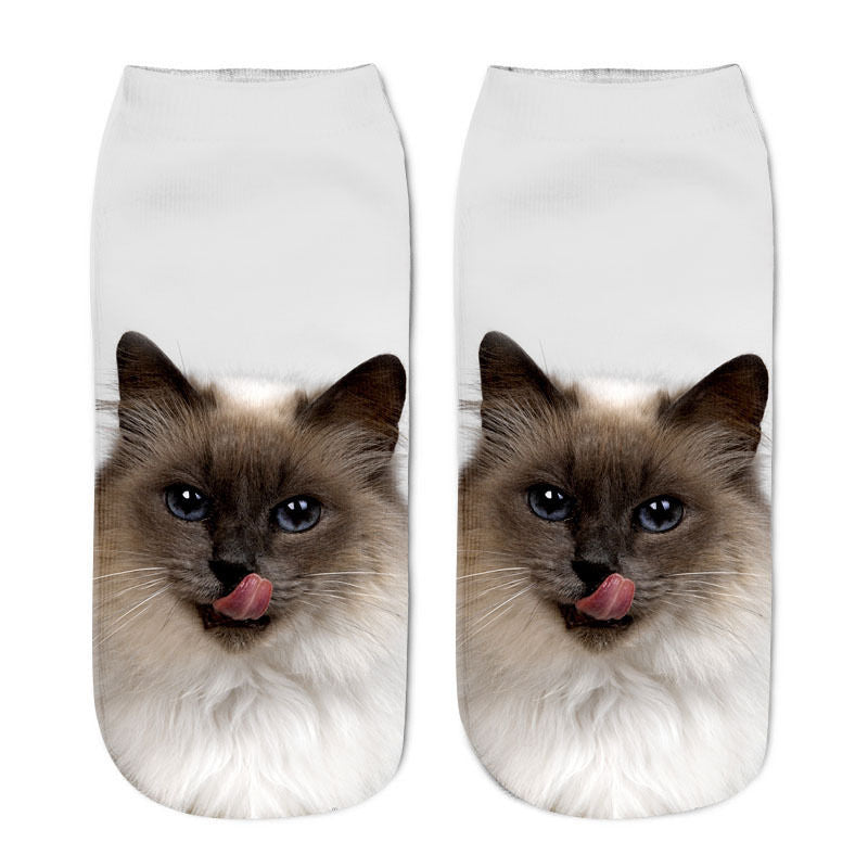 Cat in sock - Pure White - Cat Socks
