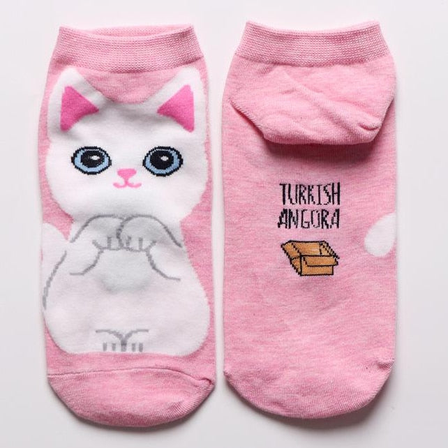 Cat in sock - Pink - Cat Socks