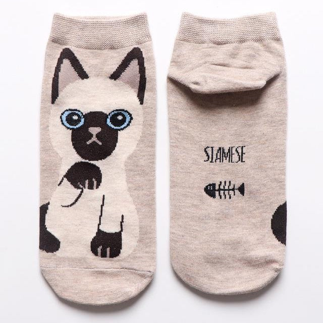 Cat in sock - Skin - Cat Socks