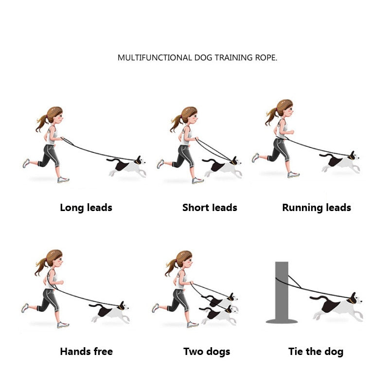 Cat Leash Long - cat harness leash