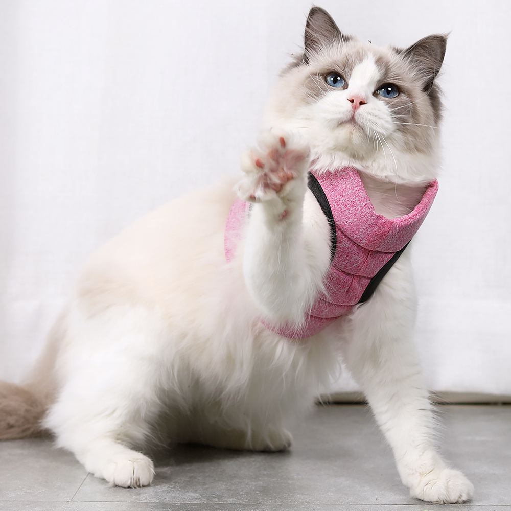 Cat Lightweight Harness - Pink / S - cat harness leash
