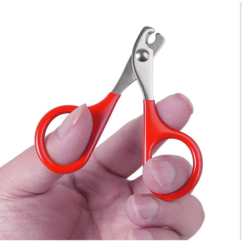 Cat Nail Scissors - Cat nail trimmer