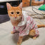 Cat Onesie Pajamas for Cats - Pajamas for Cats