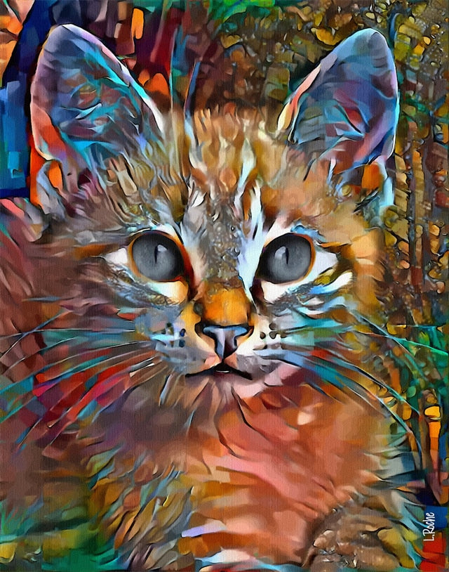 Cat Pictures Wall Art - 20x30cm no frame / Orange