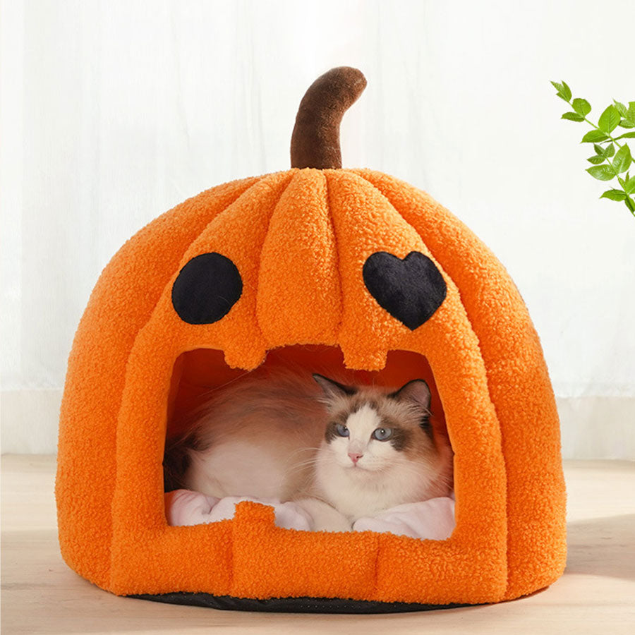 Cat Pumpkin Bed