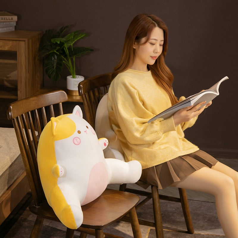 Cat Reading Pillow