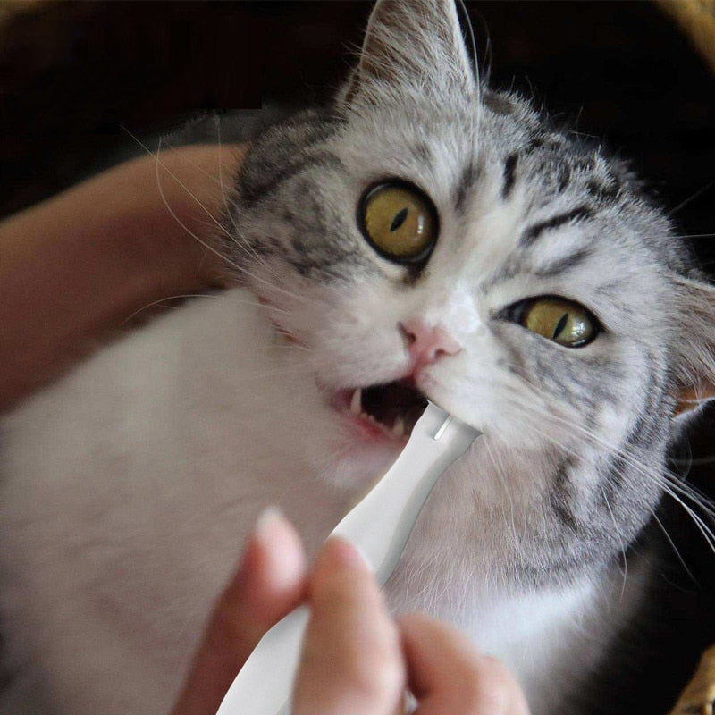 Cat Tooth Brush