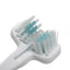 Cat Tooth Brush