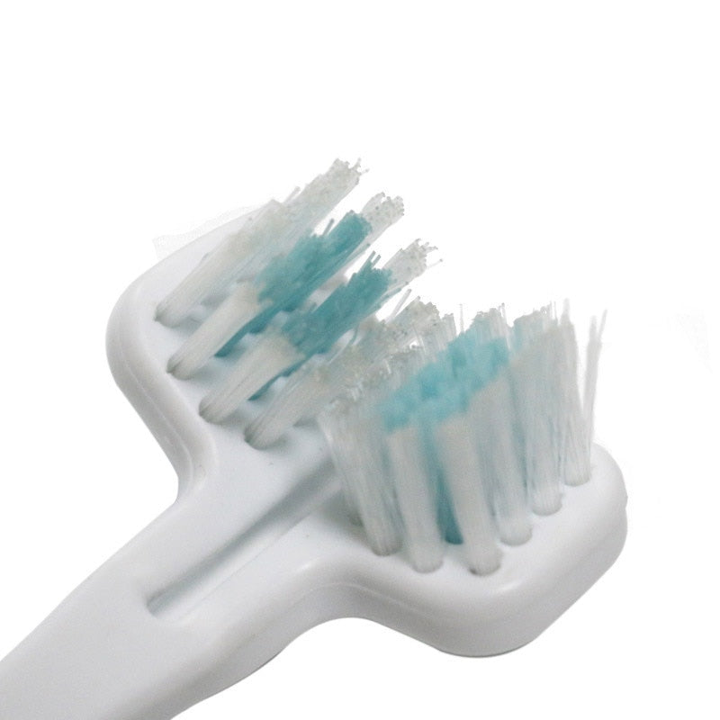 Cat Tooth Brush