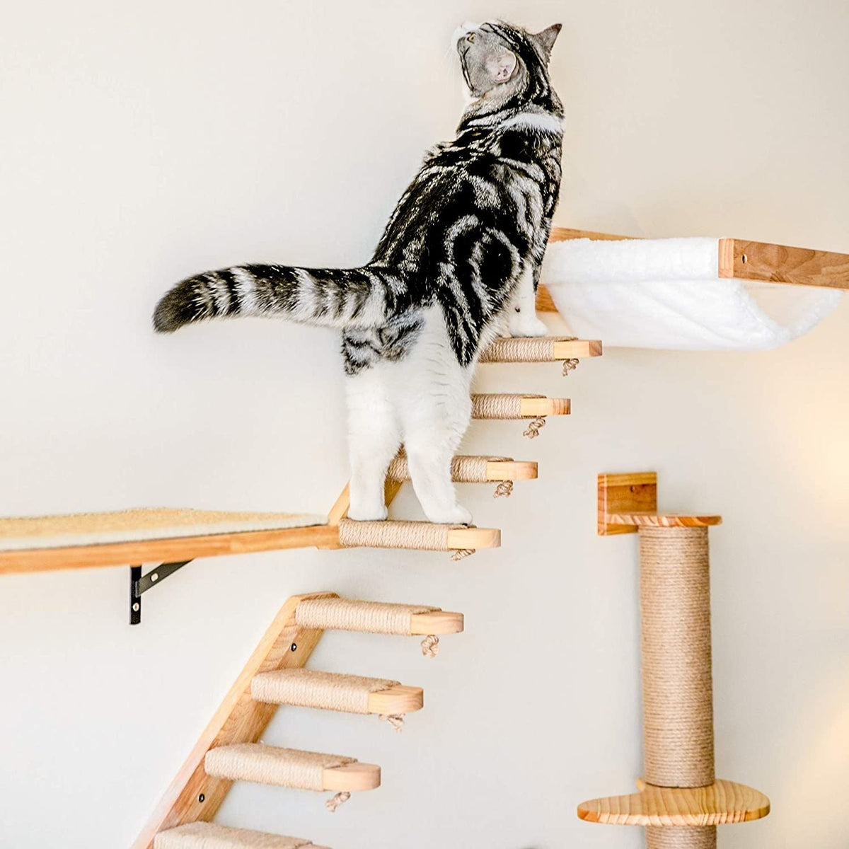 Cat Tree Wall