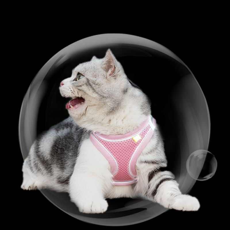 Cat Walking Harness - cat harness leash