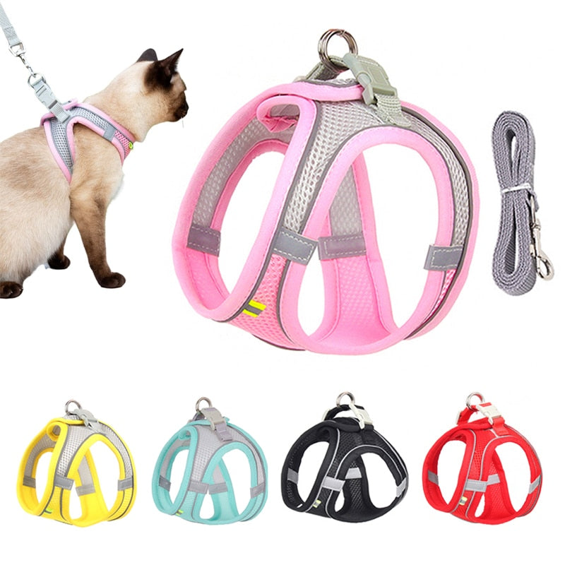 Cat Walking Harness - cat harness leash