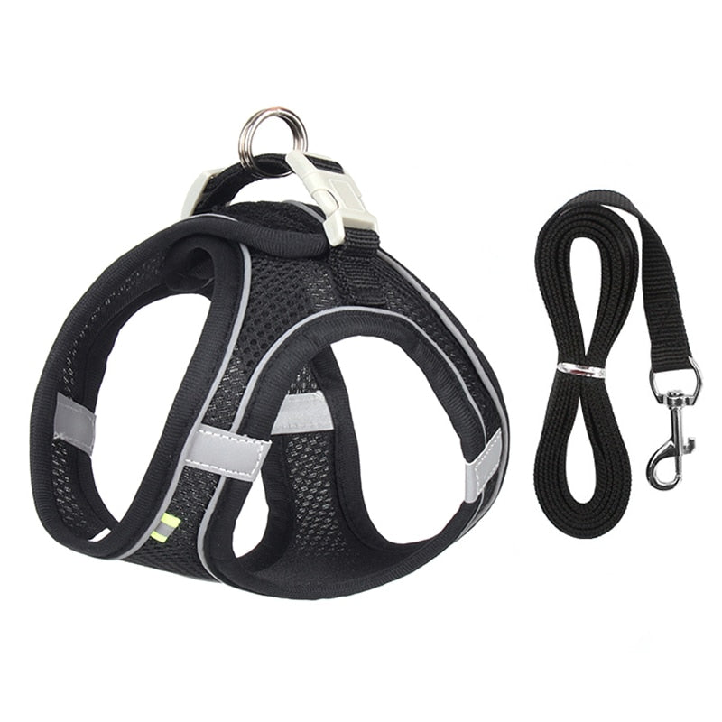 Cat Walking Harness - Black / XXS - cat harness leash