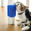 Cat Wall Brush