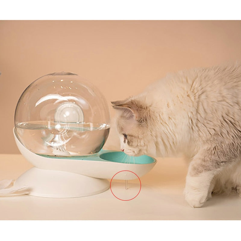 Cat Water Bowl - Cat Bowls